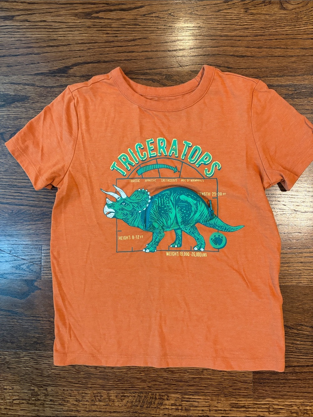 Cat & Jack Orange Short Sleeve Tee with Green Triceratops Zipper Pouch
